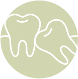 icon of Wisdom Teeth